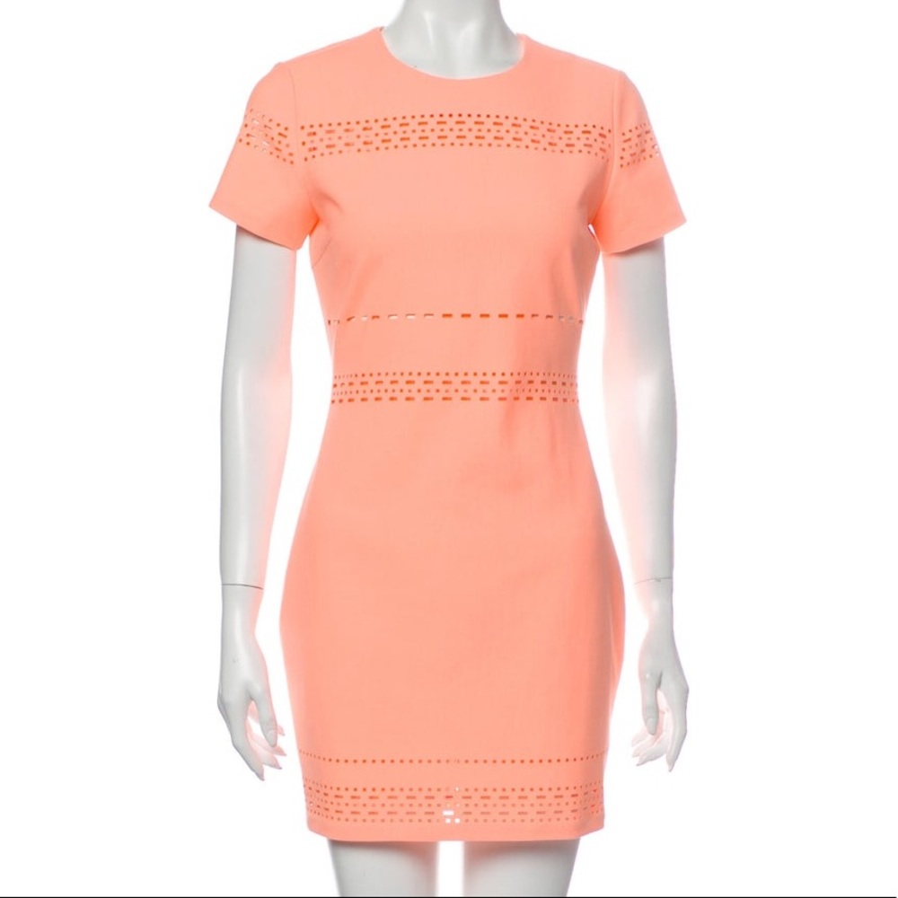 Peach Elizabeth & James Bodycon Fitted Dress